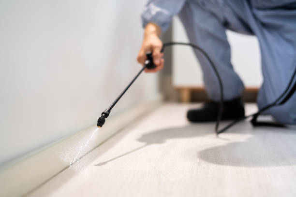 Licensed Cockroach Control service in Ypsilanti, MI - Nex Pest Control