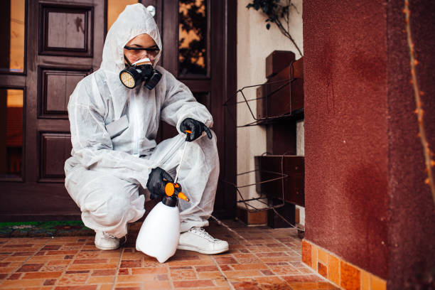 Reliable Cockroach Control contractor in Ypsilanti, MI by Nex Pest Control