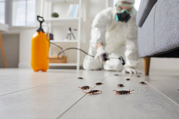 Trusted Emergency Pest Control service in Ypsilanti, MI - Nex Pest Control