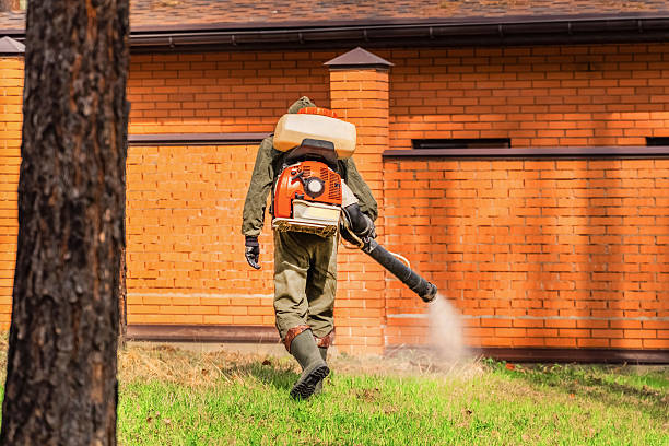 Trusted Bed Bug Control service in Ypsilanti, MI - Nex Pest Control